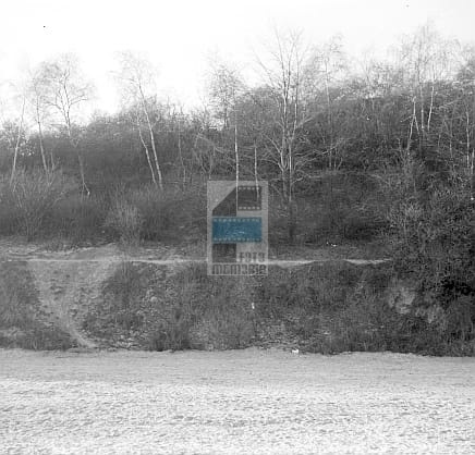 526a7c4123cf303a9de0e995d3a42aa6