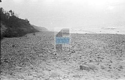 44c64aeb04d555563c203b27fef6f895