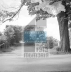 fbe8698900f47e4e39afd92b0f599216