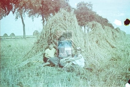 18591024aa61c60dacb74caf05b1076f