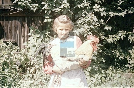 1bd48db1cb2a341ad6c6eb6f02a5fa24