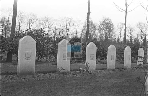 3fcb784636dee583690c1127361df9d6