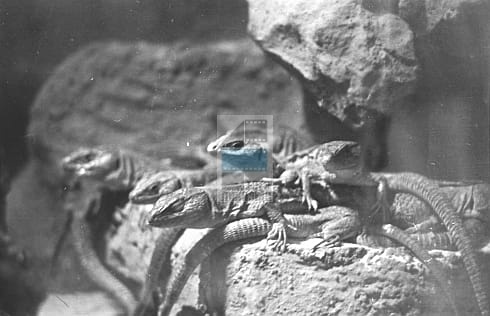 a130d4f45cf8977c4cb7e827f5d1e5fc