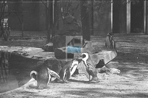 1ac653921cd284d19b30c21e4107c023