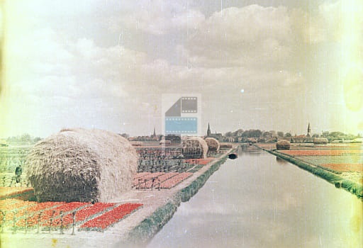 882889c589a28ccb8766352b790dc4aa