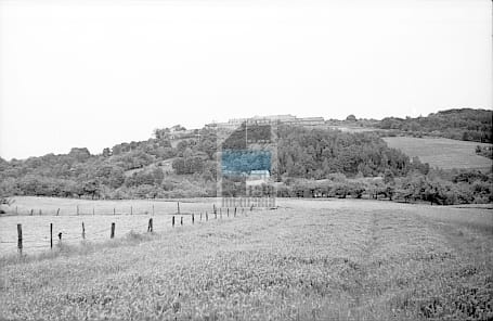 JC 006547 STARY WIŚNICZ
