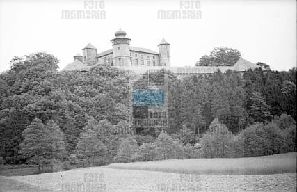 JC 006556 STARY WIŚNICZ