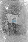 JC 018244 DOBIESZEWO