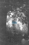 JC 020939 STARA DOBRZYCA