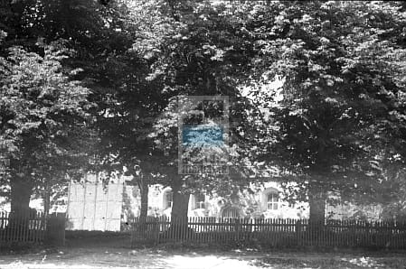 JC 016033a ZWIERZYNEK