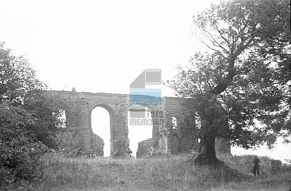 JC 008373 TRZĘSACZ