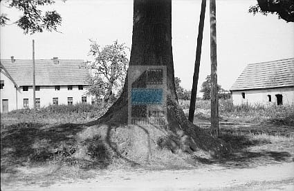 JC 008269 TRZYGŁÓW