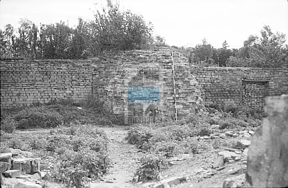 JC 014871 CHOJNA