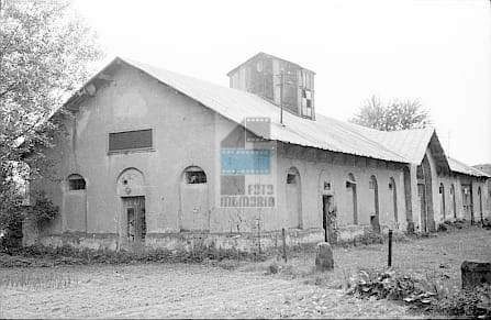JC 006223 NIETULISKO DUŻE