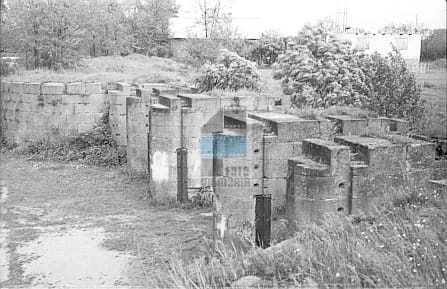 JC 006221 NIETULISKO DUŻE