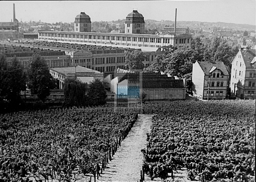 JC 030567 ZIELONA GÓRA