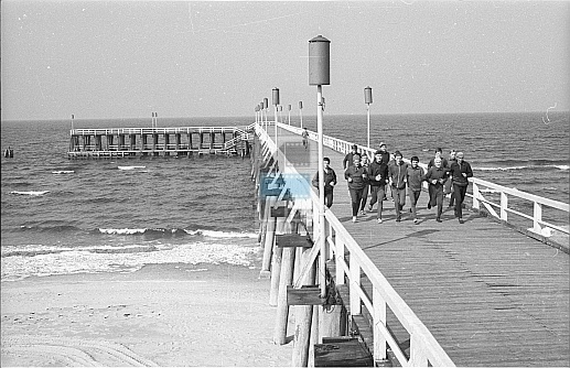 JC 031152 MIĘDZYZDROJE