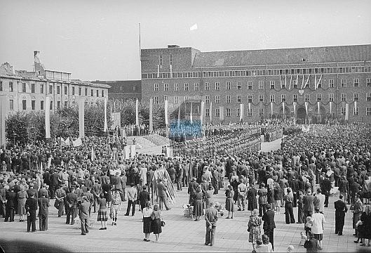 JC 031980 PIŁA
