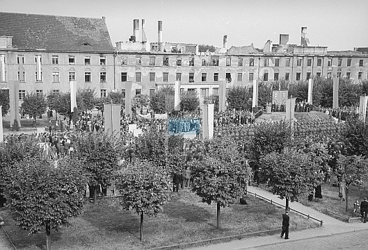 JC 031981 PIŁA